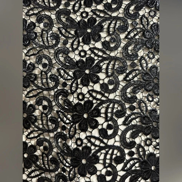 Eva Franco Dress NWOT black & white lace bodice MSRP $248 Anthropologie 2 - Picture 3 of 4